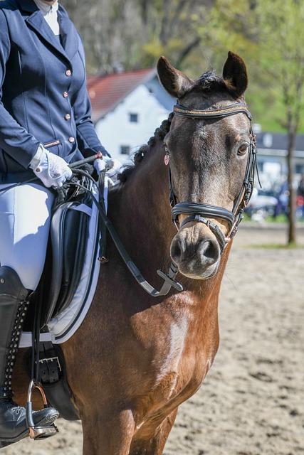 U22国足李镇全：团结且强大的集体，在正确道路上继续前进吧