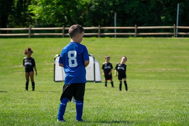 国王爆冷击败掘金，湖人、掘金、马刺和火箭4队负场数相同