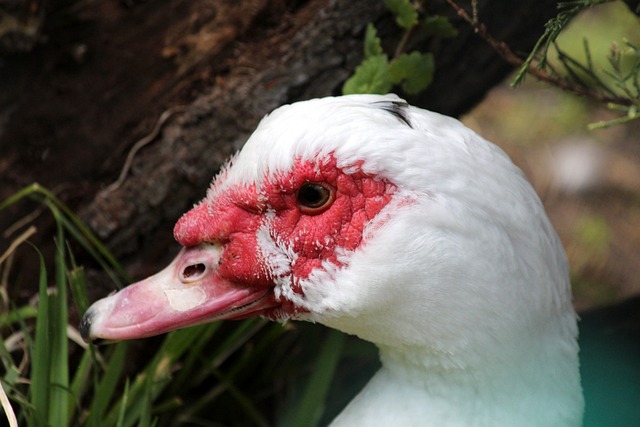 几乎零角度都能进，这准度离谱