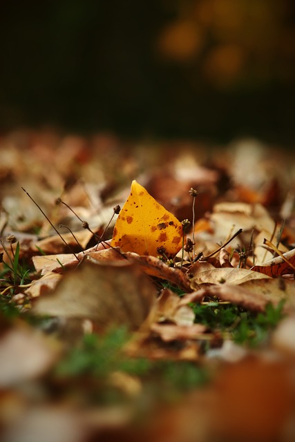 中国队负于 中国队负于