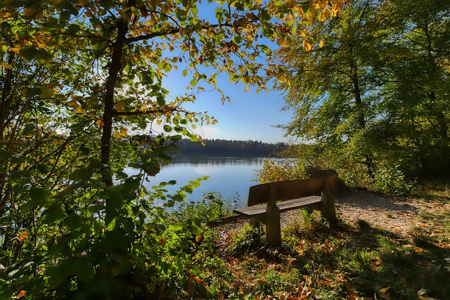 疑表明了林 疑表明了林