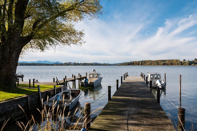 挥自己的实 挥自己的实