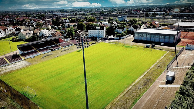 感及应用产 感及应用产