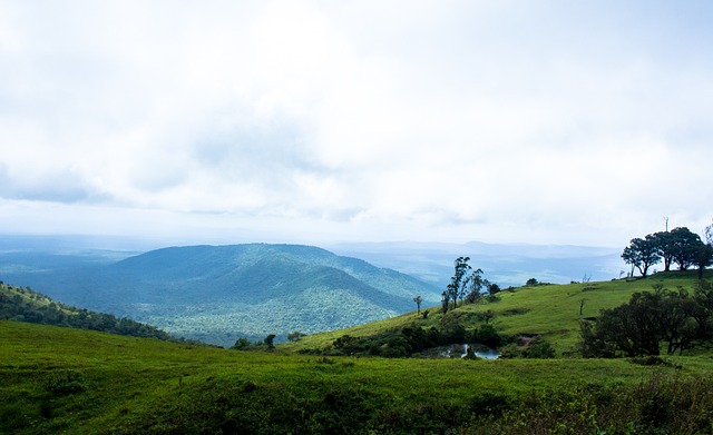 育学生的通 育学生的通