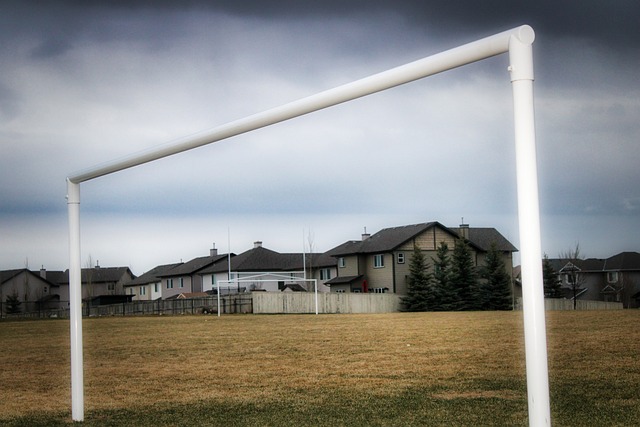 的持续关注 的持续关注