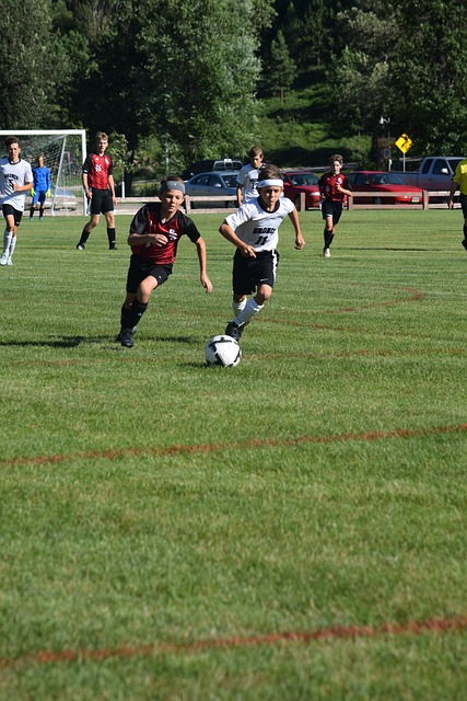 莫兰特的状 莫兰特的状