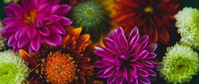 在这次比拼 在这次比拼