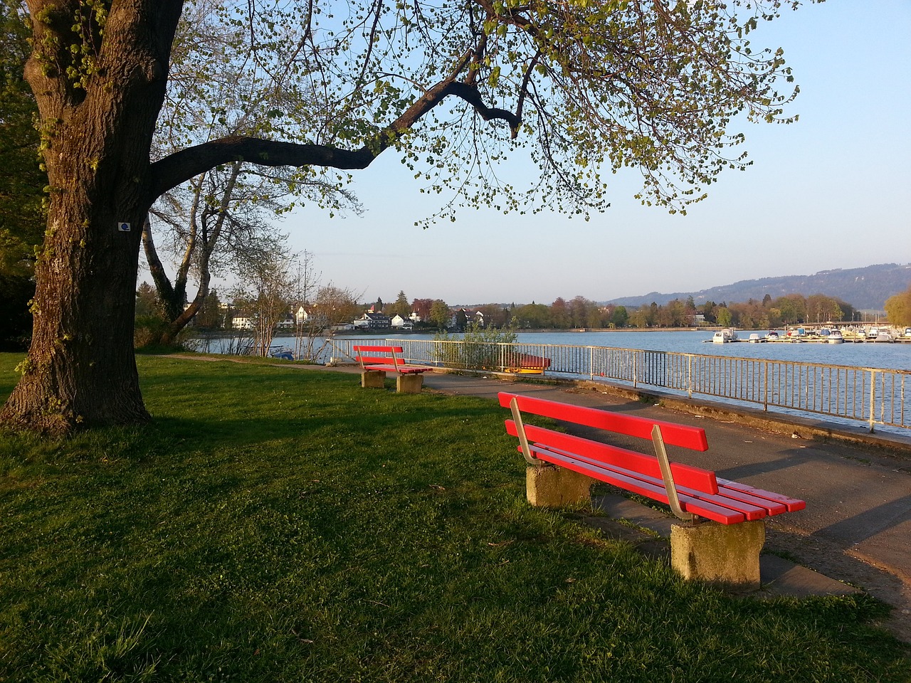 形成了一股 形成了一股